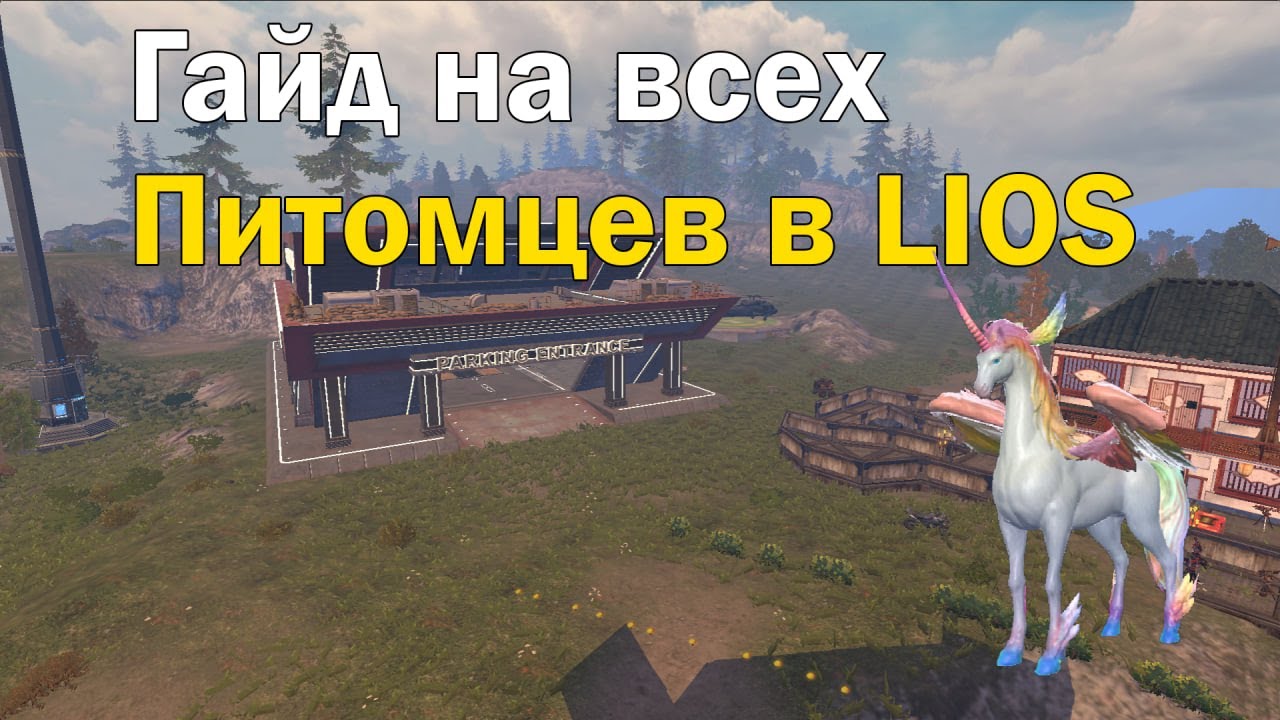 ГАЙД НА ВСЕХ ПИТОМЦЕВ В LIOS 