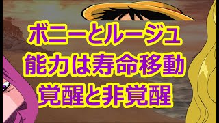 ジュエリー ボニーの能力とポートガス d ルージュの能力は寿命移動 悪魔の実の能力覚醒 年齢操作ではない トシトシの実 ワンピース067 Youtube ジュエリー ボニーの能力とポートガス d ルージュの能力は寿命移動 悪魔の実の能力覚醒 年齢操作ではない トシトシの実 ワンピース067 Youtube