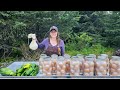 July Garden Tour Homemade Cheese Preserving 150 Eggs July Garden Tour Homemade Cheese Preserving 150 Eggs