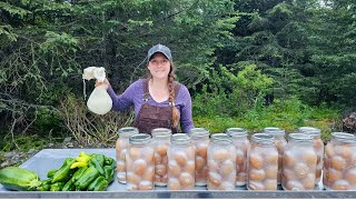 Download Lagu July Garden Tour | Homemade Cheese \u0026 Preserving 150 Eggs MP3 Download Lagu July Garden Tour | Homemade Cheese \u0026 Preserving 150 Eggs MP3