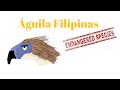 Águila Filipinas