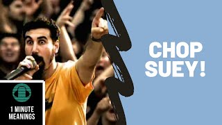 Chop Suey by System Of A Down [1 Minute Meanings]