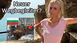 Schwierige Entscheidung für uns | Können wir ihn mitnehmen ? Bulgarien 🇧🇬#5