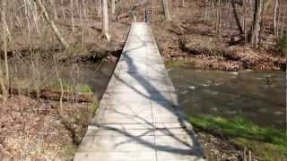Royalton Ravine Swinging Bridge This 140-foot wooden suspension bridge over the East Branch of Eighteenmile Creek is one of the highlights of a delightful hike