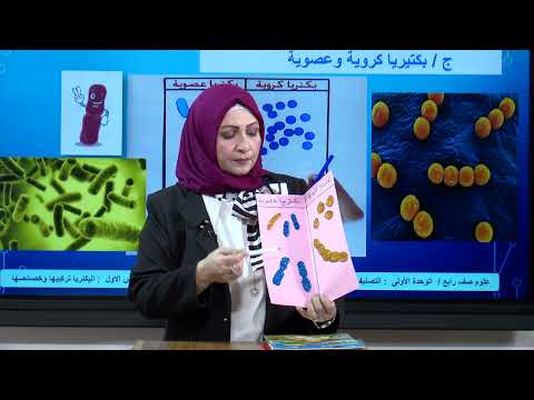 العلوم الرابع الابتدائي الوحدة الاولى البكتيريا الجزء الاول