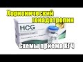 Уровень гормона ХГЧ у беременной женщины по неделям гестации