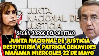 JNJ DESTITUlRÍA A PATRICIA BENAVIDES EL DÍA DE MAÑANA