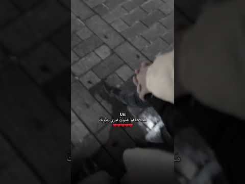 محلاها للموت لو ايدي بايدك Funny اكسبلور ذواقه لايك حلات عبارات Automobile شعر ايقنت