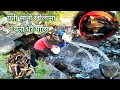 traditional fishing  style in jiri Nepal🇳🇵🐋असला माछा🐋# fish in nepal # cooking fish curry in village