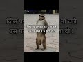 Area me roll chalta hai monkesh  bhai ka