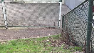 rare footage of brian doing a solve outside but its a chaotimer scramble