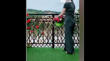 Artificial Expanding Fence For Your indoor Plants