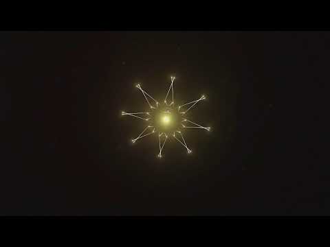 فعاليات احتفال أهل المحبة والوفاء بمناسبة المولد النبوي الشريف بدار المصطفى بتريم 1446 03 27هـ