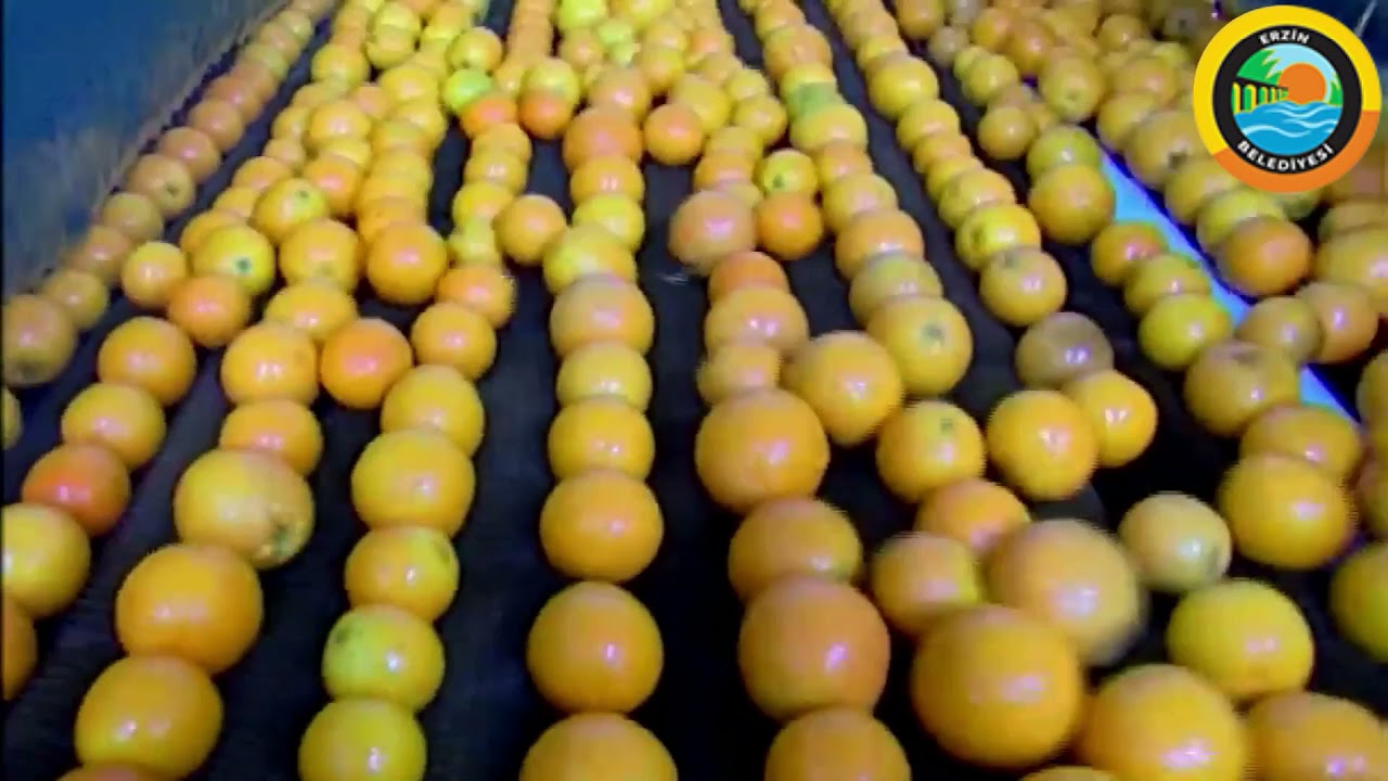 Erzin Belediyesi Tanıtım