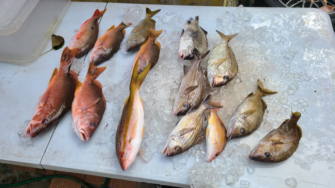 Camping on The Rocks, Fishing for Snappers Catch and Cook Edition Trinidad Saltwater Fishing 🇹🇹