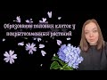 Образование половых клеток у цветковых растений. Оплодотворение