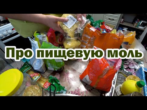 Борьба с пищевой молью