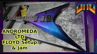 LTD Andromeda Arrow 1000 | SICK GUITAR