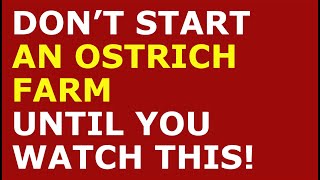How to Start a Ostrich Farm Business | Free Ostrich Farm Business Plan Template Included