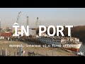 În port: monopol, interese și o firmă offshore | zdg.md
