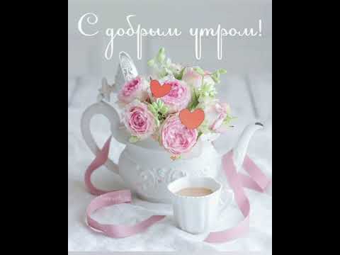 ЗАМЕЧАТЕЛЬНОГО ДНЯ!🌹ДОБРОЕ УТРО!#сдобрымутром #пожеланиехорошегодня