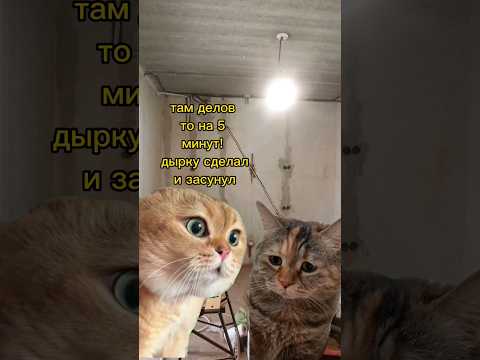 клиент всегда прав / как установить кондиционер своими руками  #short