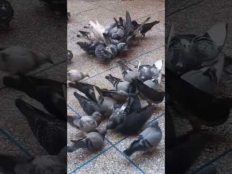 ثصل الى قلب