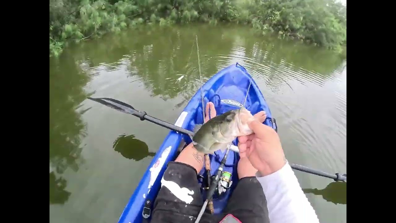 Bass fishing in the rain