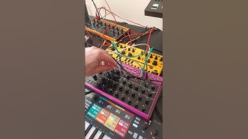 Behringer edge noodling #techno #behringeredge