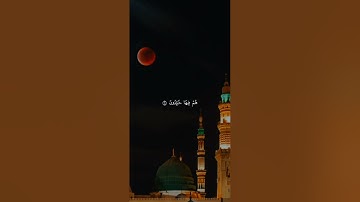 اكتب شيء تؤجر عليه 😴🩶 قران كريم | ياسر الدوسري