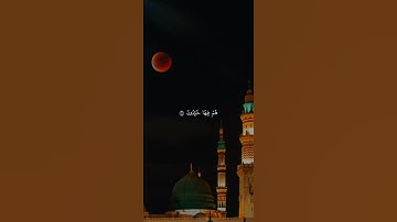 اكتب شيء تؤجر عليه 😴🩶 قران كريم | ياسر الدوسري
