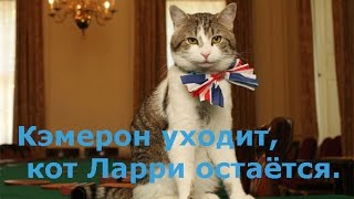 Кэмерон уходит, кот Ларри остаётся. Кэмерон уходит, кот Ларри остаётся.