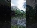 Pure Heavy Rainstorm Sounds 🌧️ Deep Sleep White Noise #Shorts