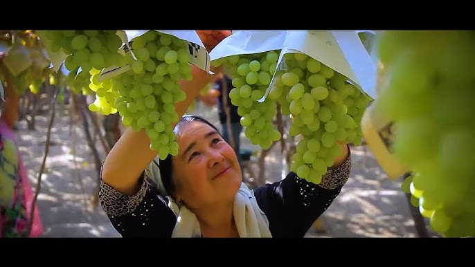 BDSM jinsiy aloqa mashinasi turi