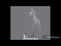 TAAKE - Vinger (Stridens Hus, 2014)