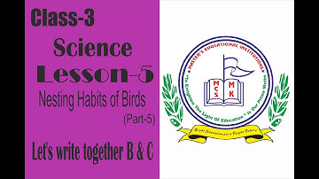 CLASS :3 Science LESSON 5 - Nesting Habits of Birds Let