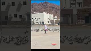 Mashallah ️ Cute baby playing in pigeon Madina Ghazwa Uhad Mountain #viral2023video#cutebaby