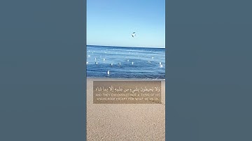 #آية_الكرسي #اسلام_صبحي #تلاوات #beautiful #viralvideo #راحة_نفسية
