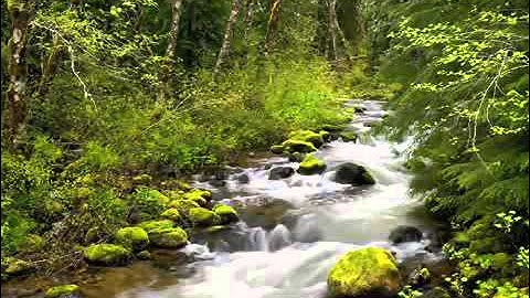 ونادى نوح ابنه تلاوة خاشعة(للشيخ يوسف أبكر