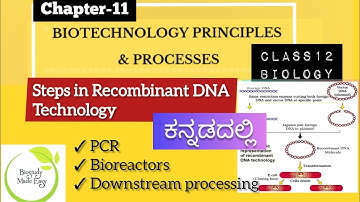Class12 Steps in Recombinant DNA Technology ಕನ್ನಡ| biology NCERT | NEET @biostudymadeeasy​