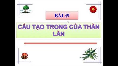 So sánh hệ tuần hoàn của ếch vs thằn lằn năm 2024