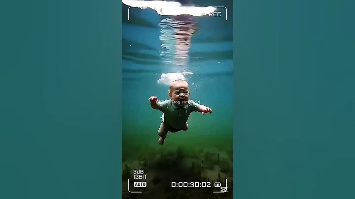 Parents ignored the dog's warning, put the baby in danger, but the dog savedhim #USA #UK #Saudi