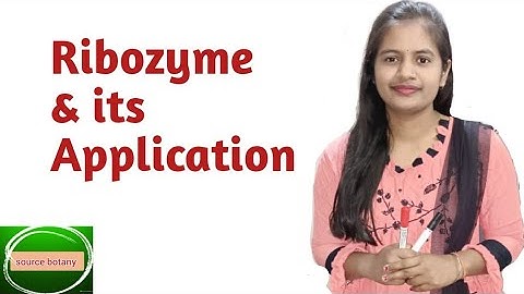 Ribozyme | Structure | Types | Mechanism | Application | In Hindi @sourcebotany7203