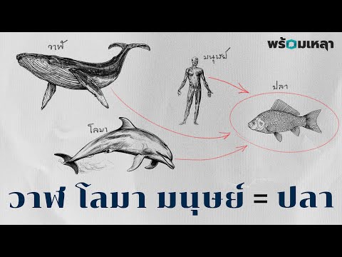 วีดีโอ: วิธีตีความความฝันเกี่ยวกับวาฬหรือโลมา: 10 ขั้นตอน