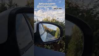 Nikbinler - Eylulzede Üz