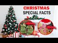 Theory Behind Christmas Tree &amp; It&#39;s Decoration || Christmas Special Facts