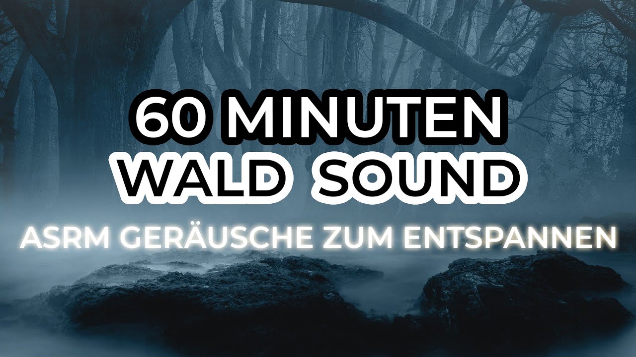 Wald asrm Sound | Geräusche zur Entspannung | 60 Minuten Erholung vom ...