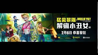 Bird Of Prey - Youtube Masthead Preview