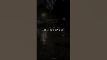 سوره لقمان   #القران الكريم #المنشاوي