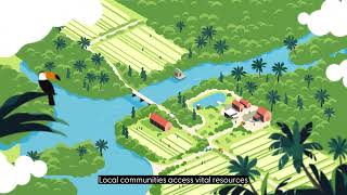 Download Lagu Upholding human rights with FSC’s Principles \u0026 Criteria MP3 Download Lagu Upholding human rights with FSC’s Principles \u0026 Criteria MP3